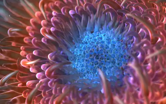 anemone, макро, чёрно,, компьютер, rendering, щупальца, 