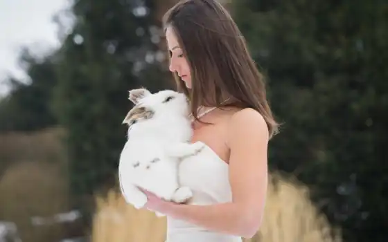 кролик, девушка