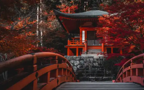 храм, япония, kyoto, bentendo, wi-tynia, buddhist, осень, дерево, shingon, japanese