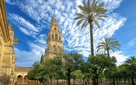 mosque, кордова, mezqui, испания, cathedral