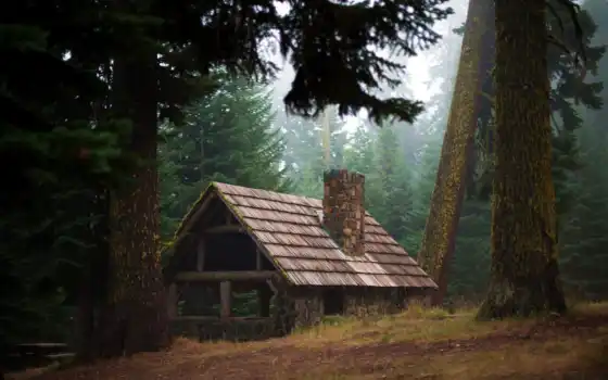 ложи, лес, дом