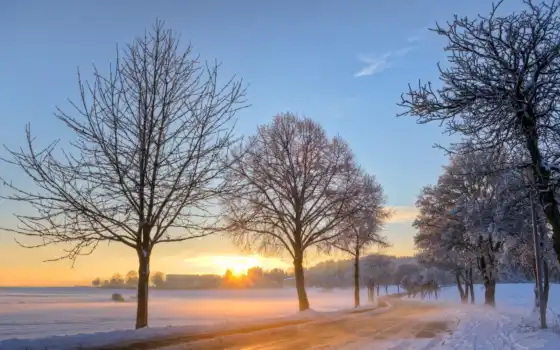 зима, солнце, раскопки, музыка, жизнь, деревья, немецкое, утро, свет,