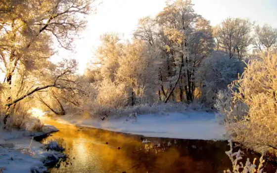 обои, зима, природа, лес, снег, речка, река, солнц