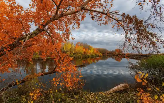 krajina, podzim, река, дерево, fotografie, zdarma