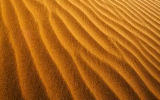 пустыня, песок, знахарка, биджа, песчинки, загробные,