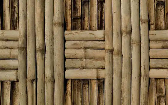 бамбук, стена