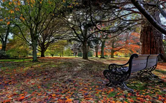 осень, парк, дерево, скамейка, натуральные, дляe, пейзаж, лист, цвет