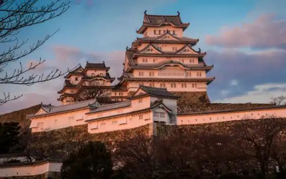 castle, himedz, япония, white, цапля