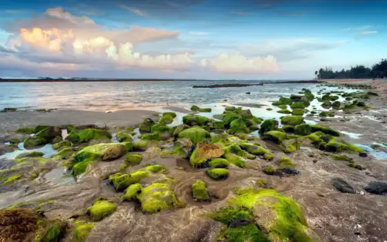 rocas, playa, musgo, con, maravillosa, naturaleza, pantalla,loveos, lado,