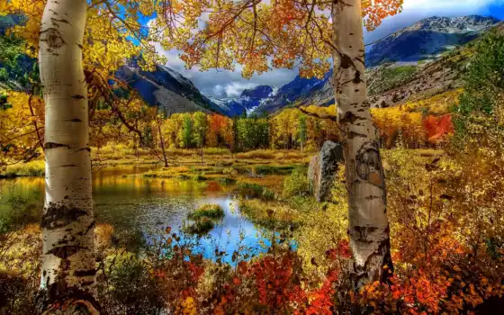 осень, короче, задворк, деревья, лихие, осенние, горы, озеро,