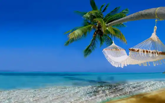 maldives, отель, секс, дно, отпуск, велассар, рог, адрес