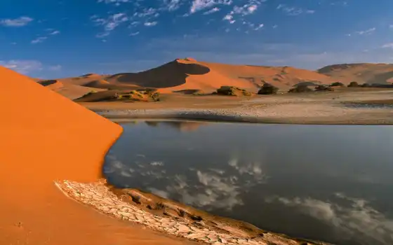 пустыня, оазис, песок