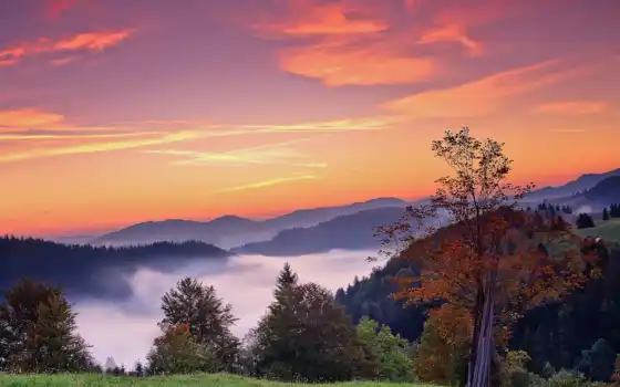 природа, осень, горы, деревья, небо, туман, 