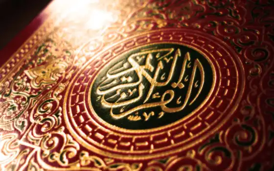 koran, ислам, книга, quran, reading