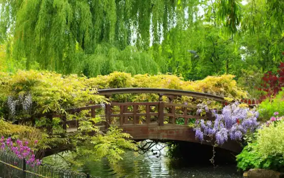 мосты, деревья, парк, забор, сад, река, весна, леса,