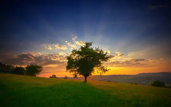 рассвет, утренние, лучи, солнце, свинца, облака, лес, трава, трава,