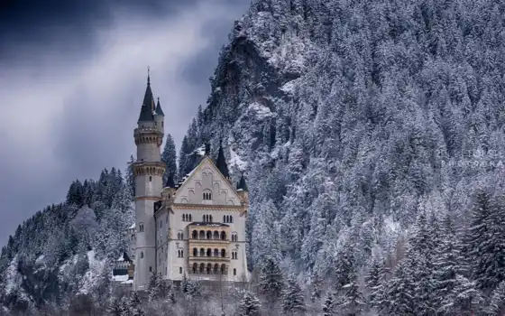 castle, германия, нойшванштайн, лес, winter, снег, trees, плакат, 