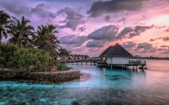 maldives, дуб, клуб, персона, гратум