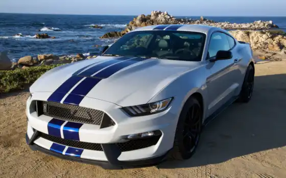 ford, mustang, shelby, car,