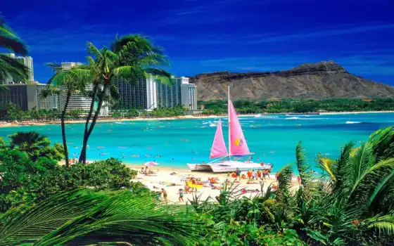красивые, лучшие, хаваи, сша, пляжи, путешествия, спортивные, ваикики, спортивные,