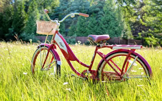 велосипед, mordoviya, summer, smartphone, bicicle, mobile, vintage