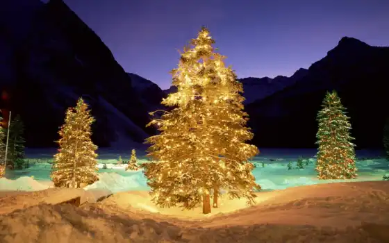 зима, елка, свет, подсветка, ночь, новый, год, новогодние, ялинки, 