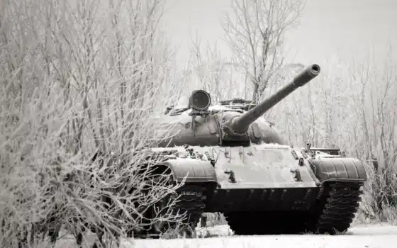 танк, т-55, зима, снег, иней