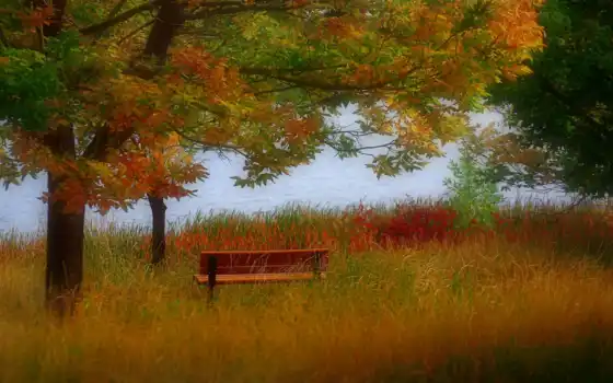 automne, ecran, paysage, fond, fonds, télécharger, elegant, природа, 