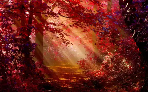 осень, лес, солнечный свет, холст, искусство,