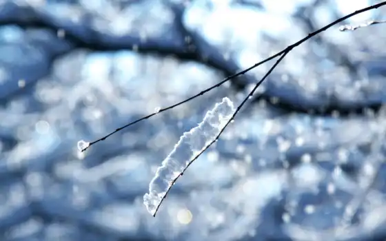 winter, desktop, изображение, лед, снег, branch, 