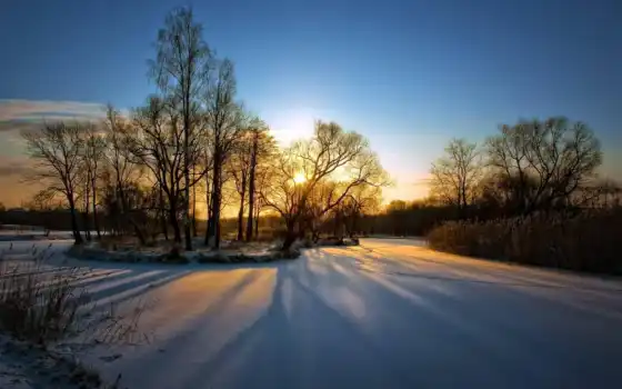 атлас, зима, дерево, солнце