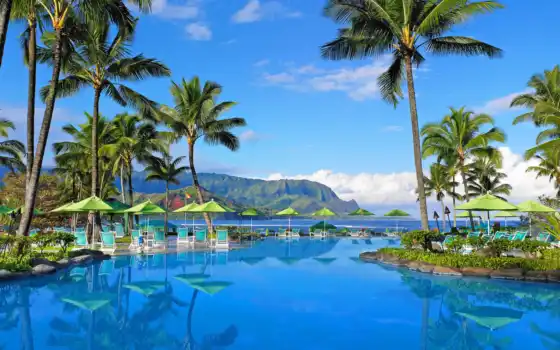 hawaii, lịch, bay, hương, khách, những, duy, palm