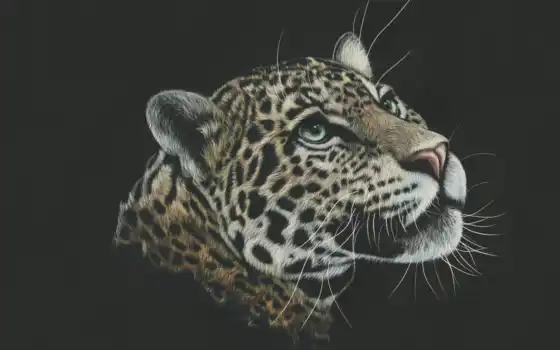 лелепу, большие, большие, леопарды, замечают, черные, краска, натуральные,