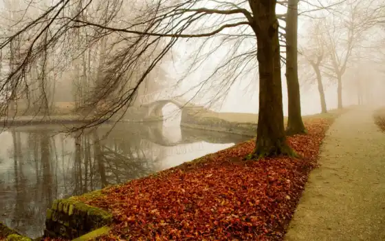 река, пейзаж, осень, смола, дерево
