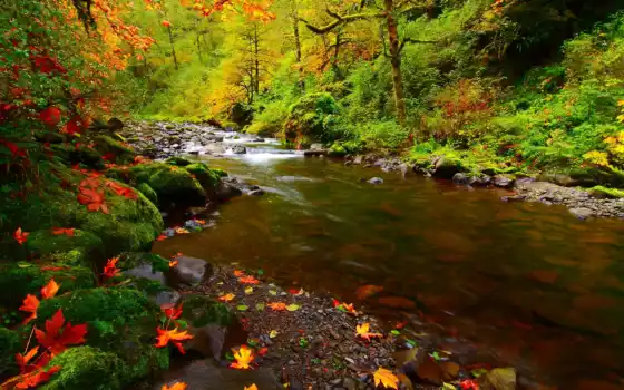 , осень, пейзаж река, река,