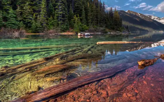 озеро, чистое, кристально, канаде, смешные, анекдоты, находится, невероятно, истории, пятнистое, 