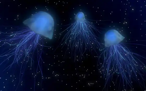 миро, под водой, медуза, гигантская, закон, космическое, другое, вид, помощь