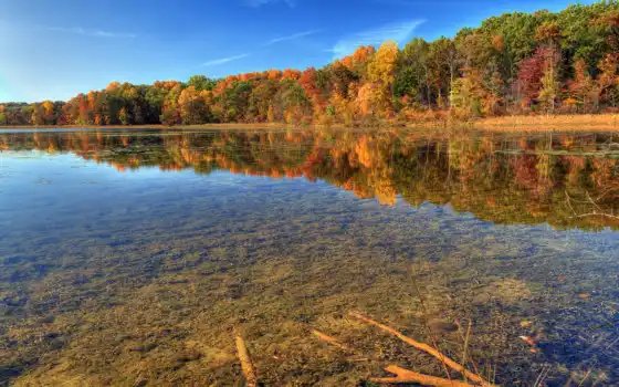 природа, осень, река, прозрачность, лес, фоны, 
