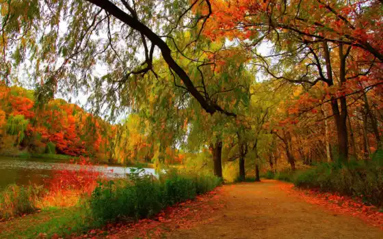 осень, пейзаж, п.п., глубокая глотка, деревья,