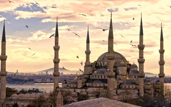 turkey, mosque, istanbul, 