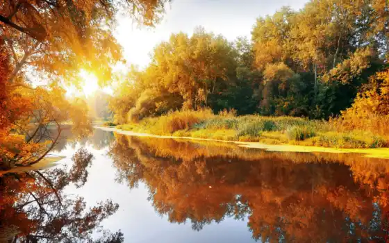 осень, река, природа, красиво, рыбалка, лес, отражение, отдых, 