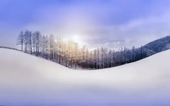 зима, холм, горный лес, лес, лучи, солнце, пейзаж,