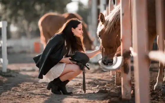 уздечка, лошадь, девушка