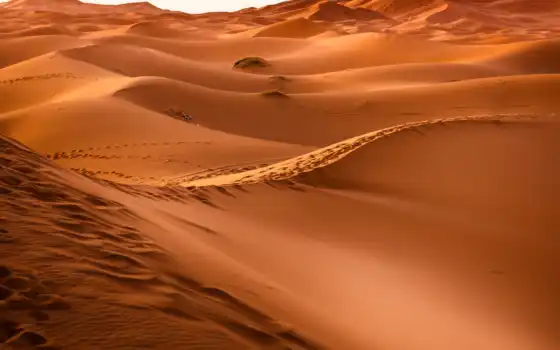 песок, пустыня, дюн, морокко, дряхлые, дель, фото, ау