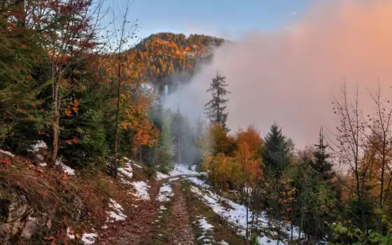 дерево, осень, гора, фор, снег, туман, рассвет, пешед