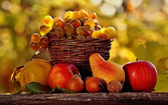 плод, яблоко, осень, жизнь, дар, сердце,