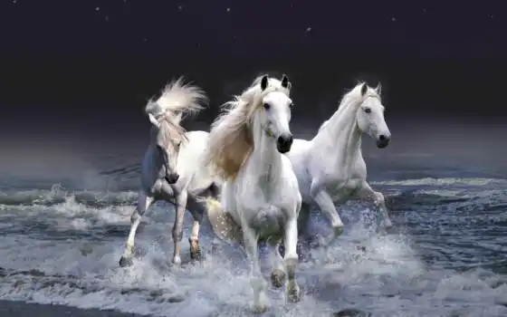 кони, лошади, мастей, всех, лошадки, грациозные, красивые, бесконечно, zhivotnye, 