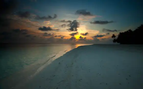 пляж, закат, песок, вечер, берег, море, palm, branch, панорама, 