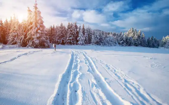пейзаж, зима, фото, снег, снег, стоковый i