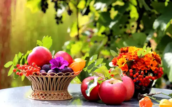 фрукты, яблоки, цветы, рябина, корзина, сливы, натюрморт, листва, еда, 